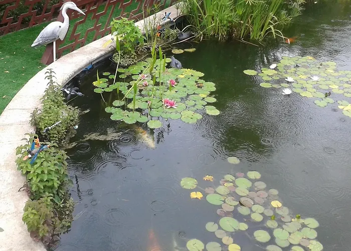 9 Hamman Sauna Piscine Chauffee Poss